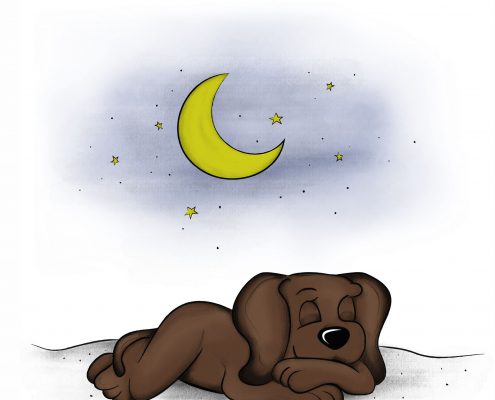 Illustration für das Kinderbuch EDDi schläft