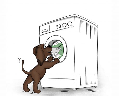 Illustration für das Kinderbuch EDDi beobachtet die Waschmaschine